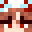 NonsterDoge Minecraft avatar