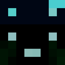 .NullLucasg