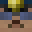 OGNet Minecraft avatar