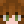 PacificSatyr5OO