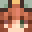 PetraTanglehorn Minecraft avatar