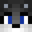 PetrisorRo