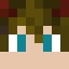 Pimdici