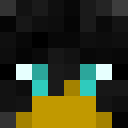 Playerminecraft