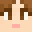 PokeTrainerZelda Minecraft avatar