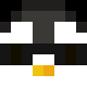 Minecraft skin head of Poolx2