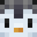 Private_DK Minecraft-head
