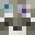 RaccooninStars Minecraft avatar