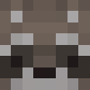 RacoonNation