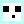 Rainey_SYM