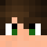 RainyKit Minecraft-head