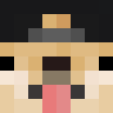 Skin de Rexiondog