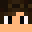 RianZokinha Minecraft avatar
