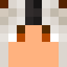 Robwookie's Minecraft skin