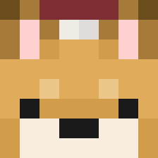 RoccoDeHond