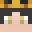 Roi Minecraft avatar