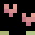 Rosish Minecraft avatar