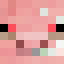SMPMAX