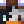 SSilverFox