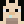 Saint_Charlos