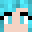 Salinita Minecraft avatar