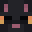 Senv_