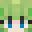 Shoo Minecraft avatar