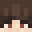 Minecraft head of Simvii