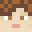 Skylane6 Minecraft avatar