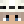 Snoopy_J01