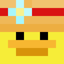 SoldierDucks