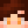 Soleshark Minecraft avatar
