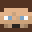 SoloLupus Minecraft avatar
