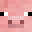 Squickerdo's Minecraft head