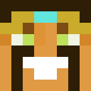 StiIken Minecraft-head