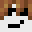 TIM_VES