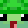 TTV_TURTLE_MAN