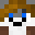 Tchello_X8