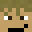 TheOddlySeagull Minecraft avatar