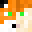 TimFoxy Minecraft avatar