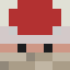 Toad_craft