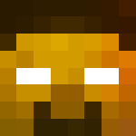 Photo de profil de Torches