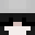 TurtlePunk Minecraft avatar