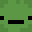 Turtle_5618