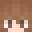 Vacumm Minecraft avatar