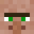 Villager10