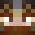 VoidRanger_ Minecraft avatar