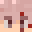 VoidfireXd Minecraft avatar