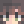 VultureNex