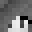 Vvgg